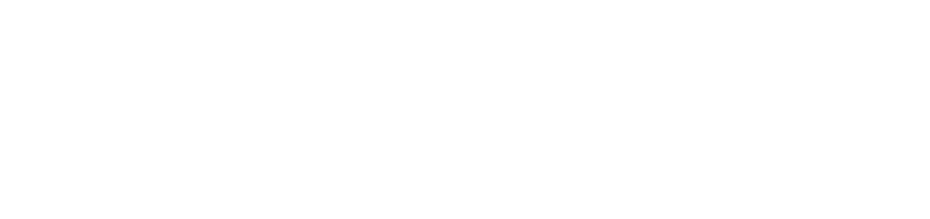 Learner Connect Logo